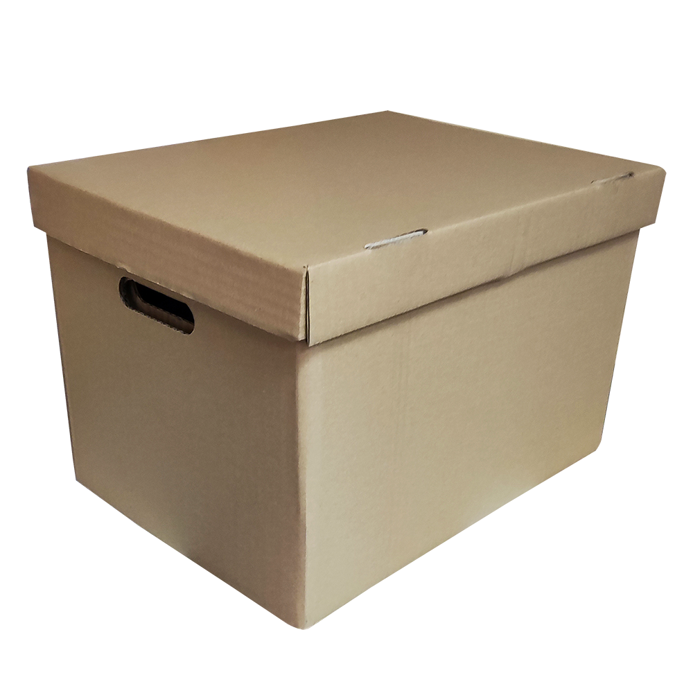 Caja Storbox 400x300x270 (Con tapa desplegable) - Catalogo