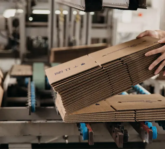 fabricacion de cajas de carton