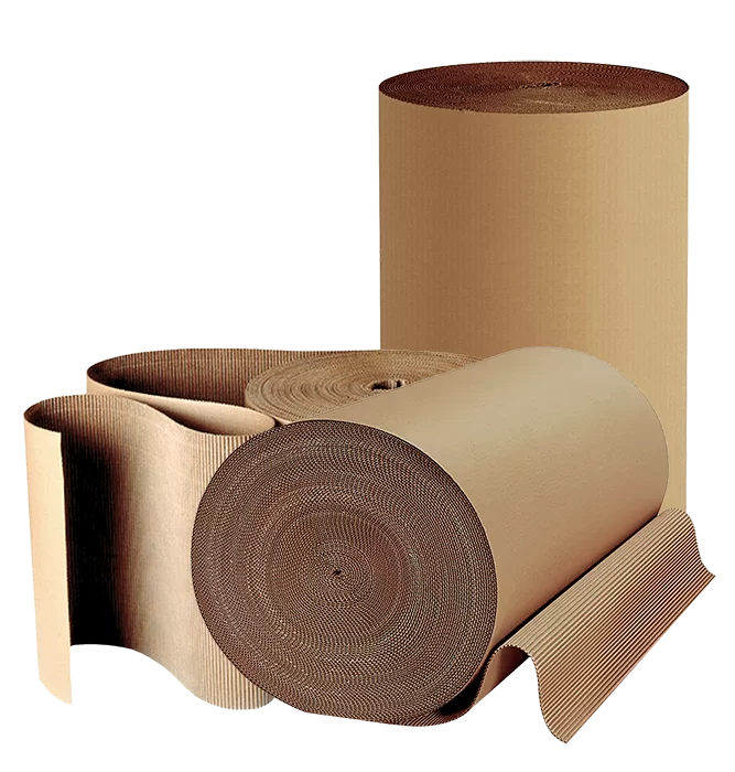 rollos de carton
